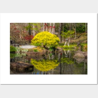 Water reflection in Japanese Garden Posters and Art